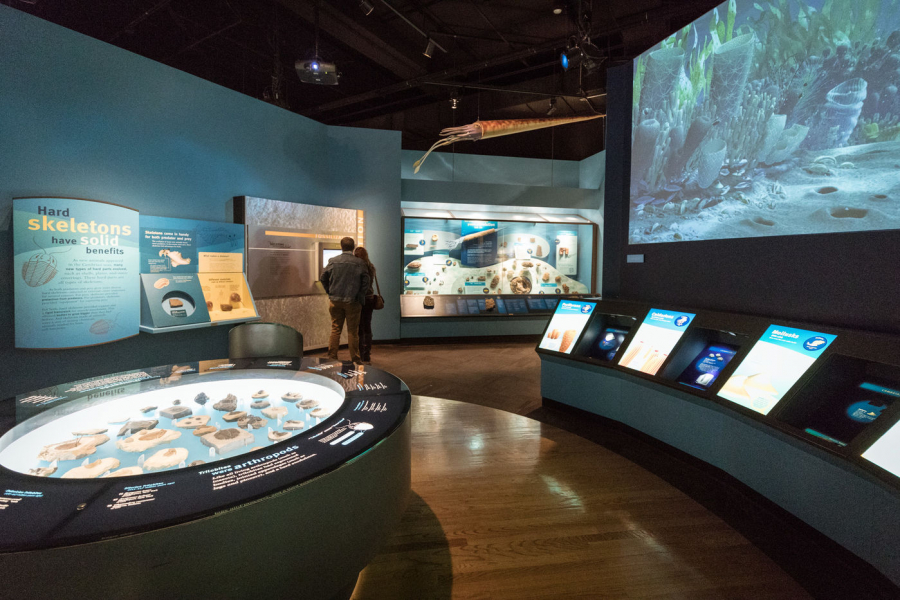 Phòng trưng bày các hiện vật về sự tiến hóa của sự sống trên Trái Đất.