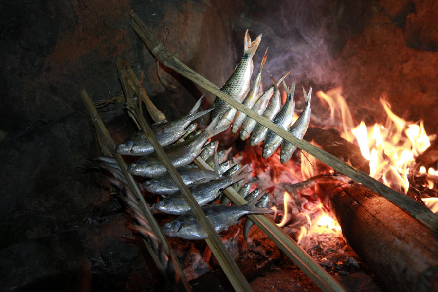 Những chú cá nướng bên đốm lửa hồng