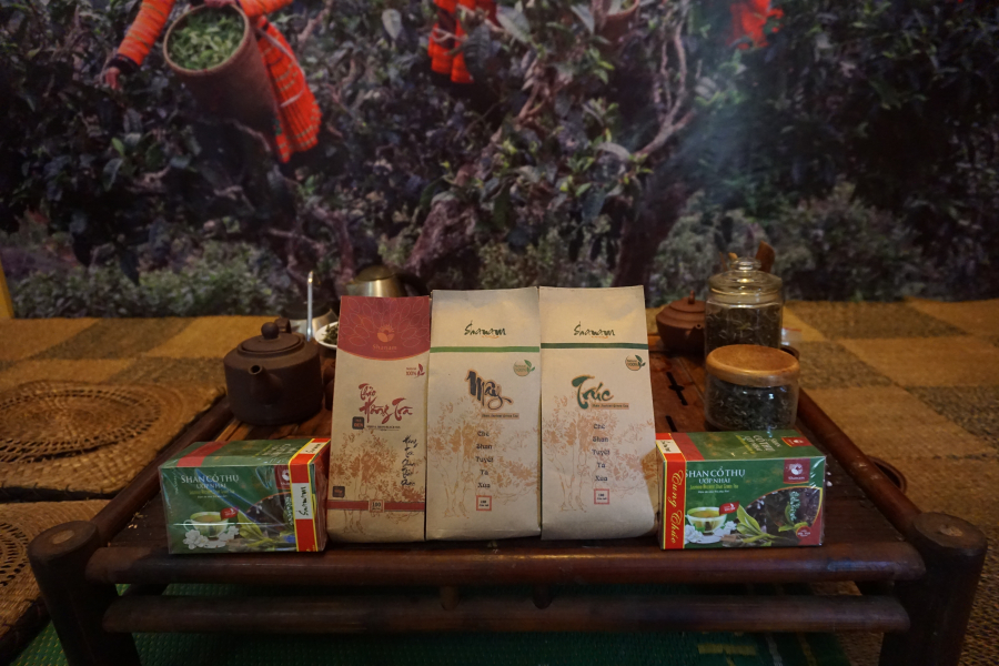 Thành phẩm trà Shan Tuyết cổ thụ