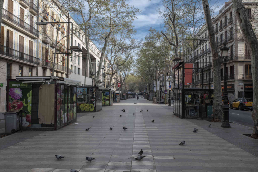 Barcelona, Tây Ban Nha: Đại lộ Las Ramblas nổi tiếng chỉ có chim bồ câu đậu (Maria Contreras Coll).