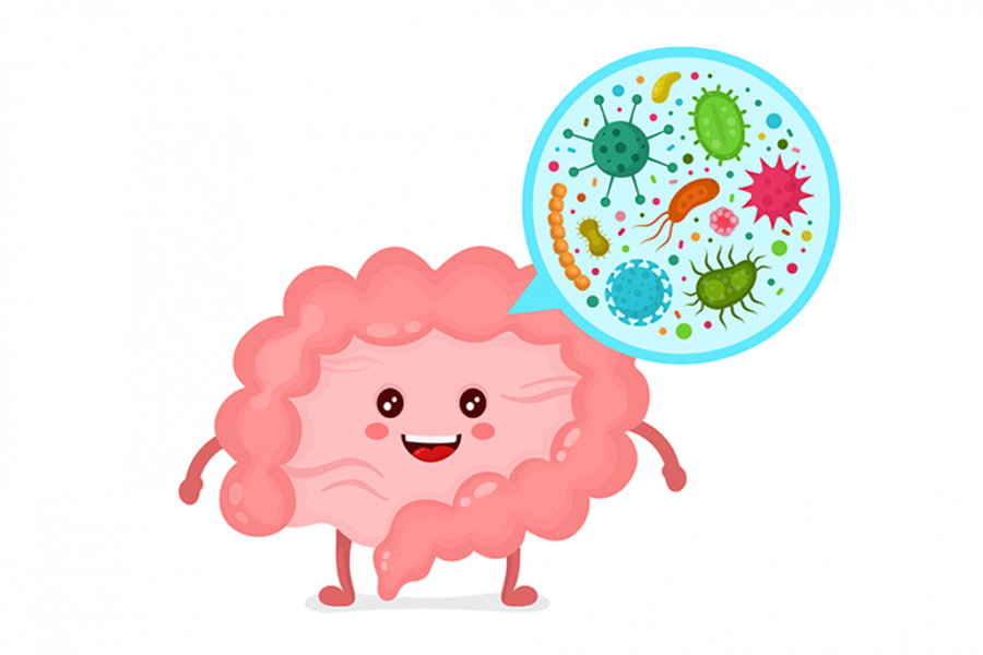 Vi khuẩn có lợi sinh sôi nảy nở trong hệ tiêu hoá mang lại những ảnh hưởng tích cực tới sức khoẻ tâm lý.