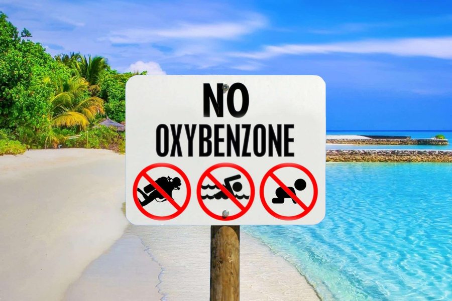 Oxybenzone là một chất hoá học có ảnh hưởng nghiêm trọng đến sự sinh sản của san hô - Ảnh: Internet