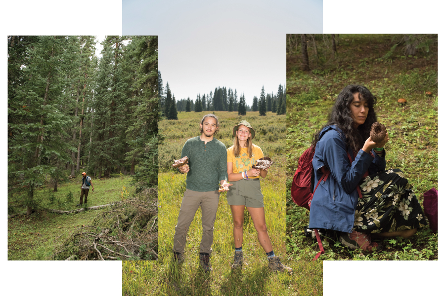Hai người đi săn nấm là Liz Bik và Julian Paik (giữa) tạo dáng chụp ảnh trong hành trình tìm nấm vào ngày 20/8. Cassandra Owen (bên phải) đi săn nấm vào ngày 21/8.