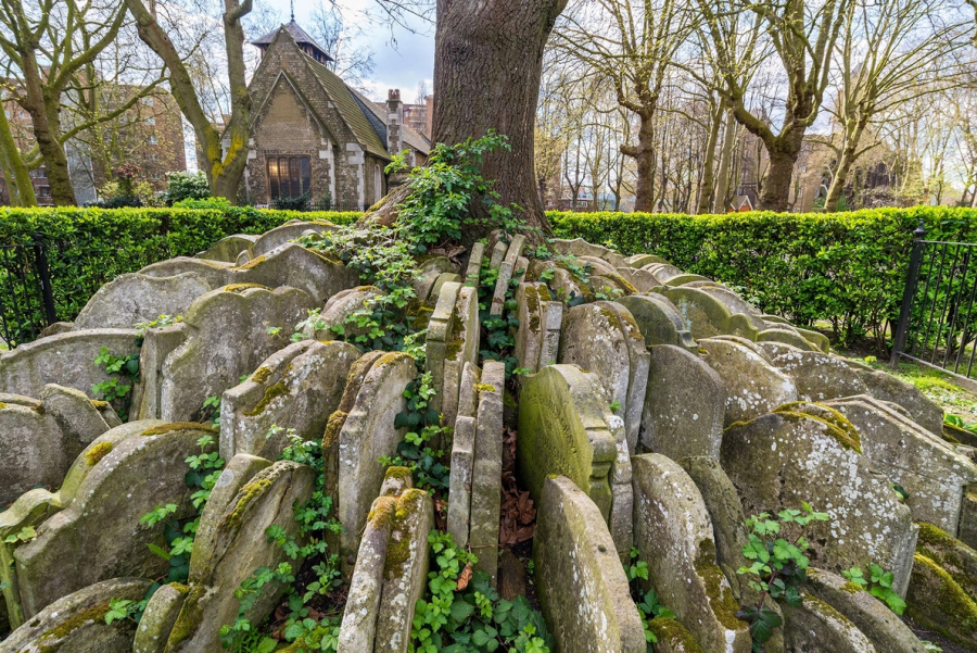 Gốc cây đơn độc được bao quanh bởi hàng loạt bia đá phủ rêu phong là điểm dừng chân nổi tiếng đối với các du khách đến thăm nhà thờ cổ St.Pancras (London, Anh). Cảnh quan độc đáo được tạo ra bởi tiểu thuyết gia nổi tiếng Thomas Hardy, thời ông còn là một nhân viên đường ray trẻ. (Ảnh: Alex Serge)