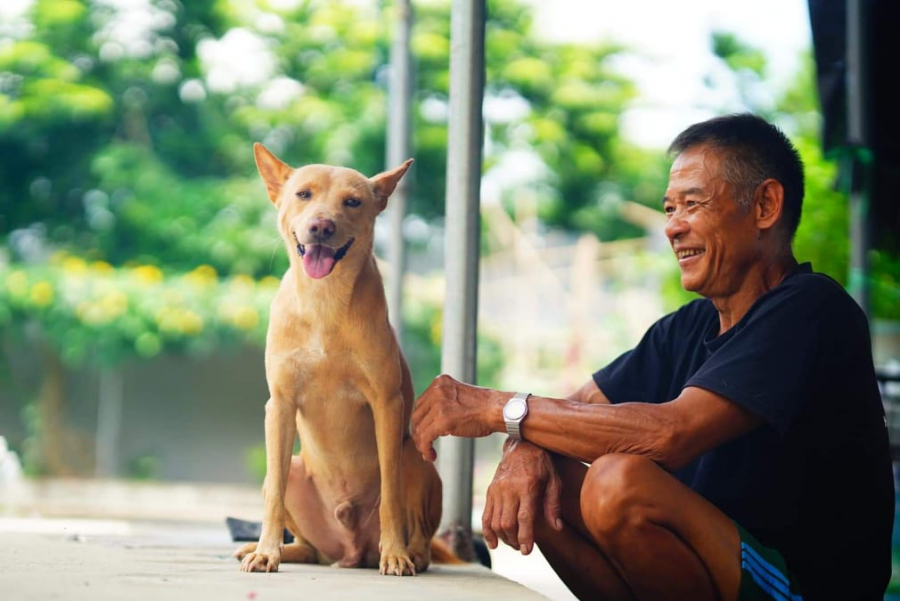 Bác bảo vệ và chú chó ở nhà chung của Hanoi Pet Adoption.