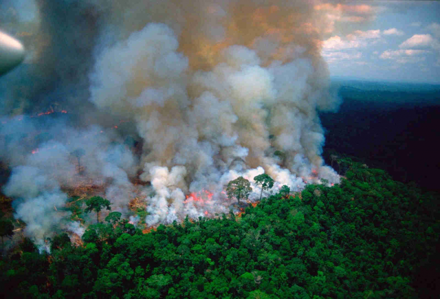 Nạn cháy rừng diễn ra từ đầu năm 2019 đến nay là con số cao kỷ lục trong vòng 7 năm qua tại Brazil.