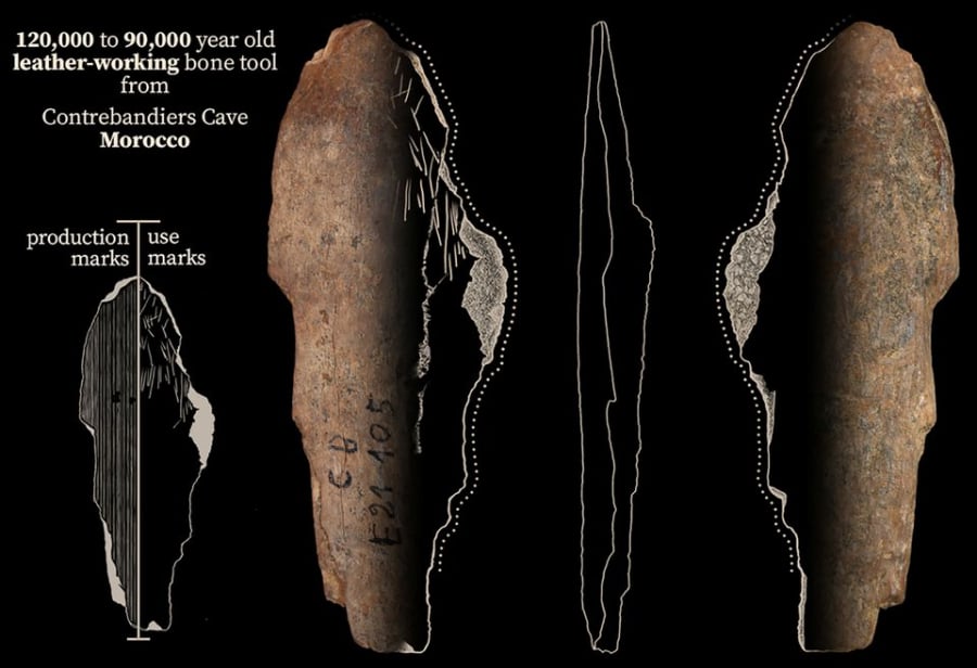 Các hiện vật khảo cổ được tìm thấy trong hang động Contrebandiers ở Moroccan cho thấy những loài ăn thịt nhỏ đã bị con người lột da để lấy lông và các xương để làm thành công cụ. Ảnh minh họa: Jacopo Niccolò Cerasoni
