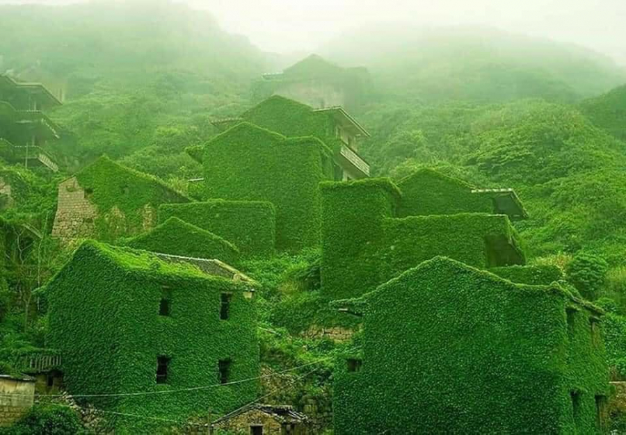 Cả ngôi làng ngập chìm trong màu xanh lục của cỏ cây.