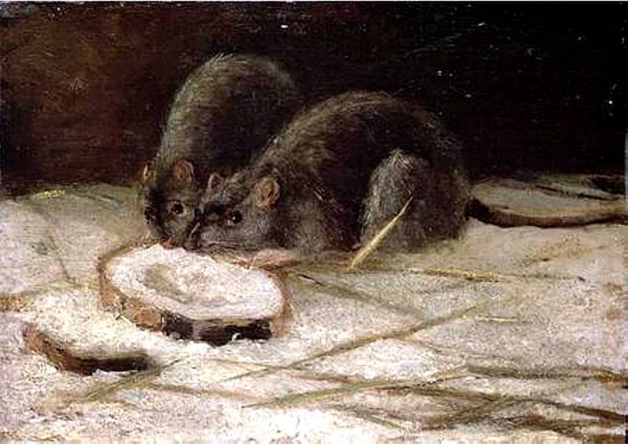 Không chỉ tơ lụa mà chuột và những mầm mống tai họa/dịch bệnh cũng có cơ hội được di chuyển đến toàn cầu. (Tranh: Two Rats, Vincent van Gogh)