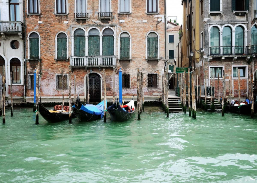 Từ tháng 9 đến tháng 11, Venice sẽ yên tĩnh, bởi ít khách đi du lịch hơn