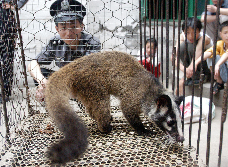 Các chợ buôn bán trái phép động vật hoang dã hoạt động ngang nhiên ở Trung Quốc