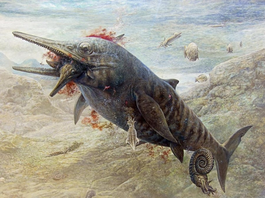 Tranh minh họa một con Ichthyosaur