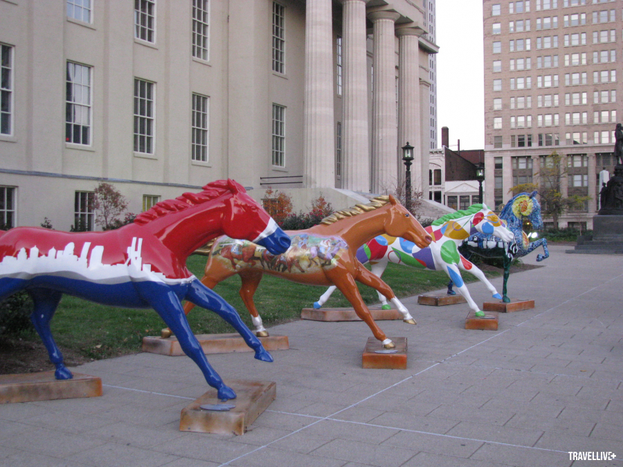 Du khách sẽ gặp những chú ngựa màu mè này ở nhiều nơi trên đường phố Louisville