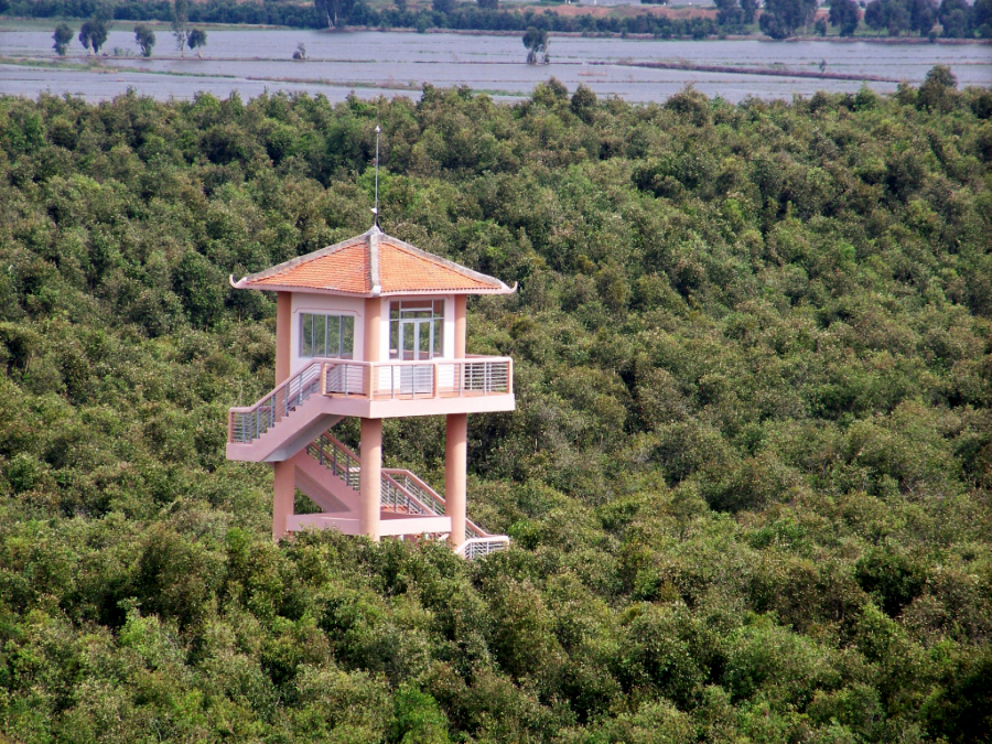 Tháp canh quan sát trong rừng tràm (ảnh: VNExpress).