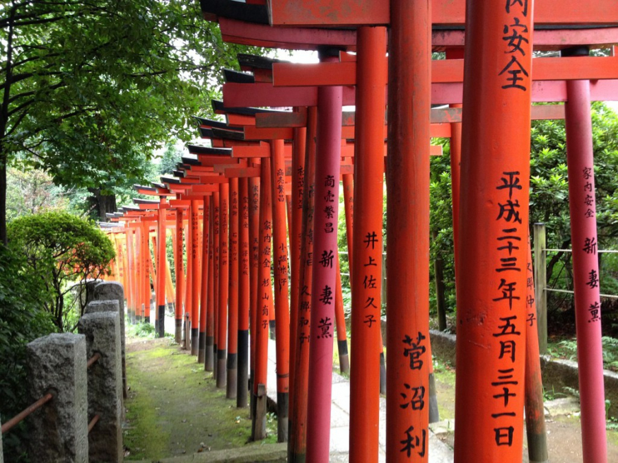 Cổng trời Torii tại đền Nezu