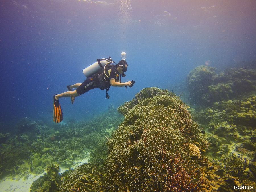 Càng xuống sâu càng thấy hệ sinh thái biển của Maldives đẹp tuyệt vời