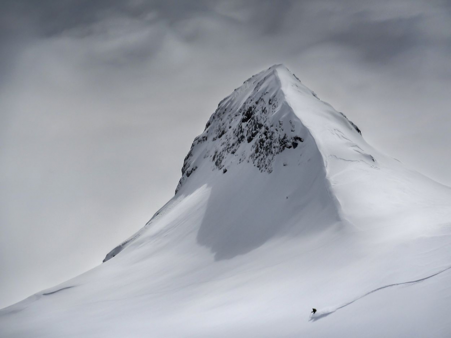 Sườn núi tuyết trắng xóa với người trượt tuyết đơn độc là bức ảnh giành giải Nhất hạng mục Phong cảnh. Đây là hình ảnh tại Slovenia của nhiếp ảnh gia Colin Ronald (Áo).