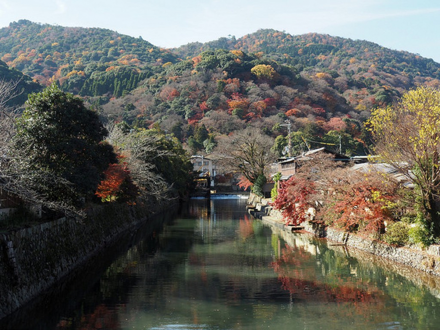 Mùa thu là thời điểm thích hợp nhất để ghé thăm Arashiyama, với sắc lá đỏ rực rỡ trên núi