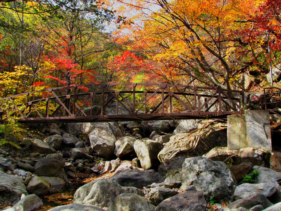 Vườn Quốc gia Jirisan là một điểm du lịch thích hợp cho người yêu thiên nhiên, những chuyến trekking, hiking, ngắm lá đỏ mùa thu...