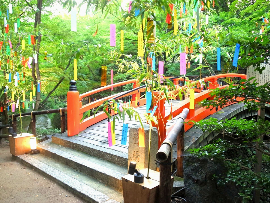 Người Nhật thường tổ chức ngày lễ Tanabata bằng cách treo những điều ước lên cành tre