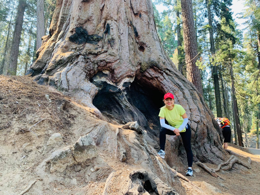 Những cây cổ thụ cao vút với phần gốc to lớn ở Công viên Quốc gia Sequoia khiến nữ ca sĩ choáng ngợp