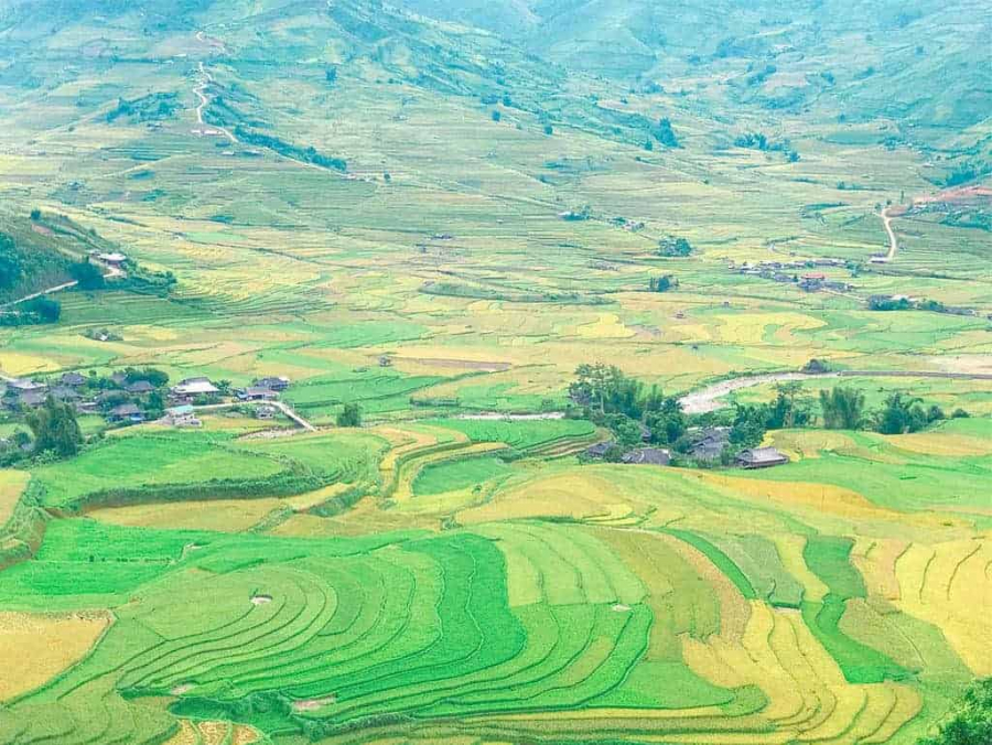 Toàn cảnh ruộng lúa nhìn từ trên cao. @Traveloka Golocal 
