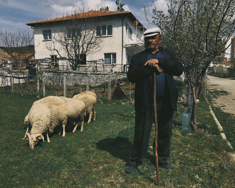 Cặp vợ chồng già đang cho cừu ăn ngay trước căn nhà nhỏ của mình. Ảnh: Bảo Khánh
