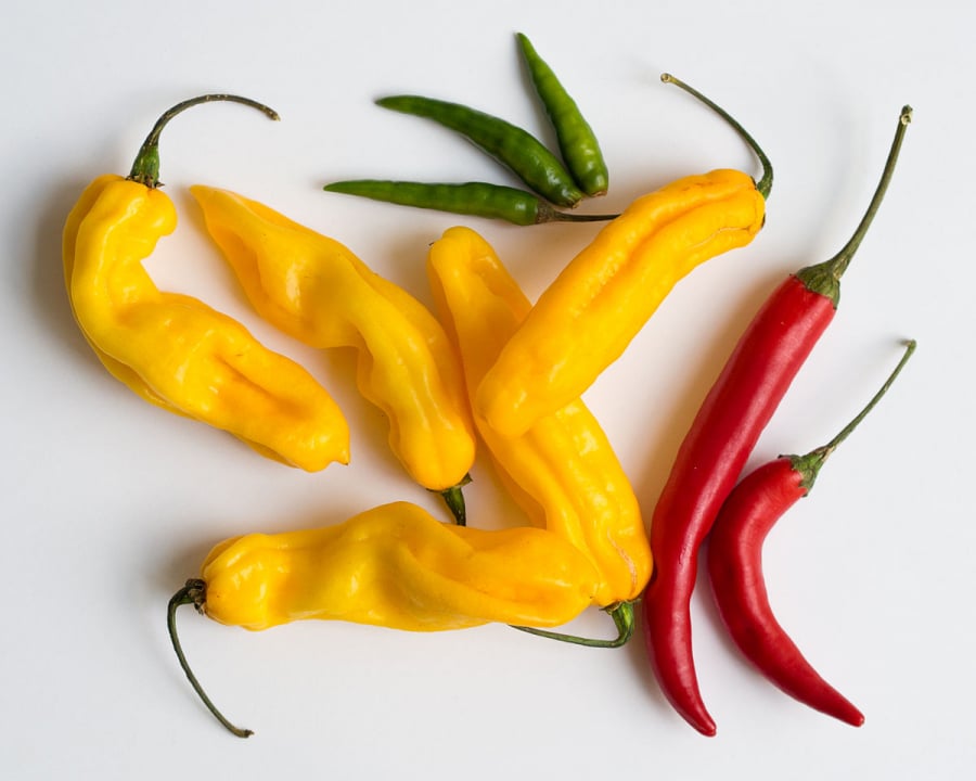1200px-Madame_Jeanette_and_other_chillies