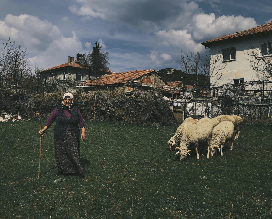 Cặp vợ chồng già đang cho cừu ăn ngay trước căn nhà nhỏ của mình. Ảnh: Bảo Khánh