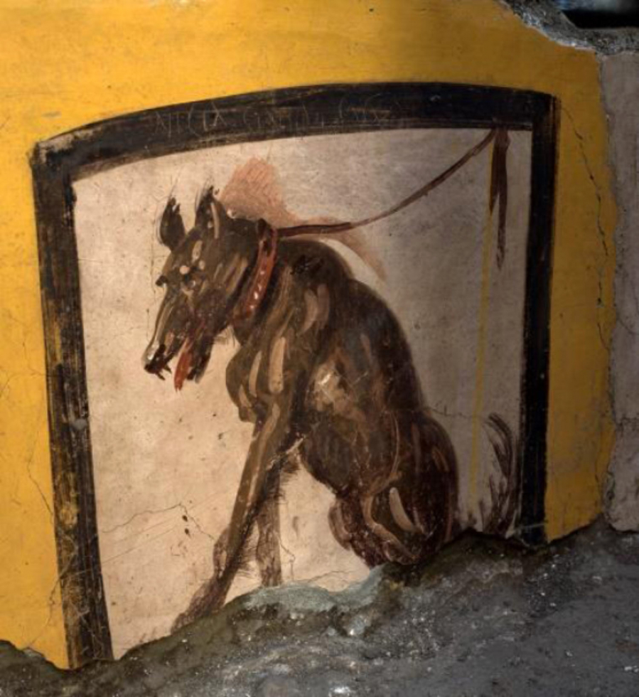 Một lời cảnh báo bằng hình con chó bị xích - Ảnh: Công viên Khảo cổ Pompeii
