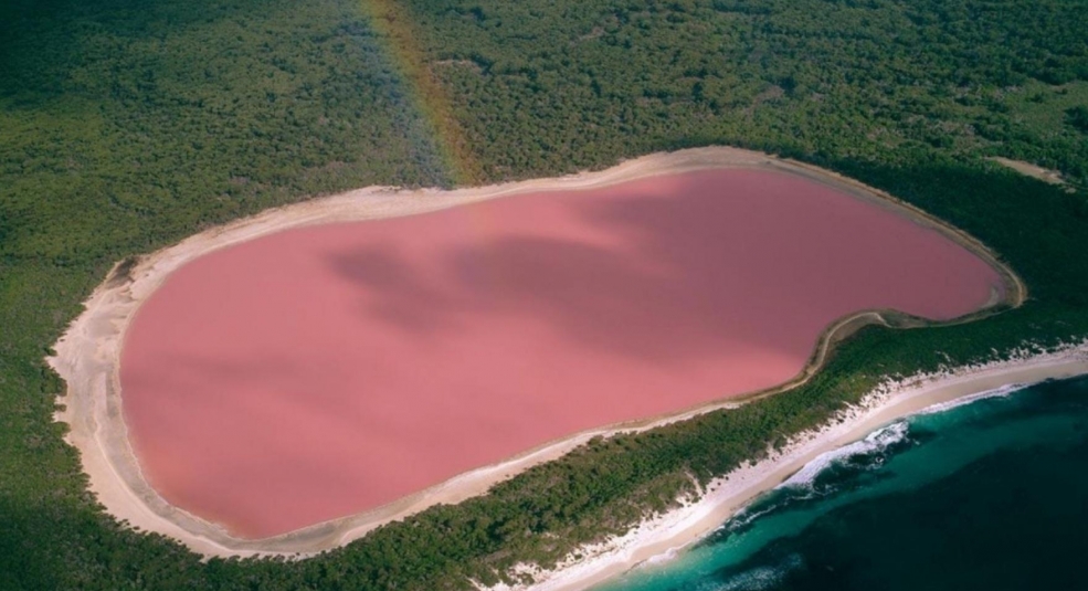 Kỳ thú hồ nước màu hồng ở Úc