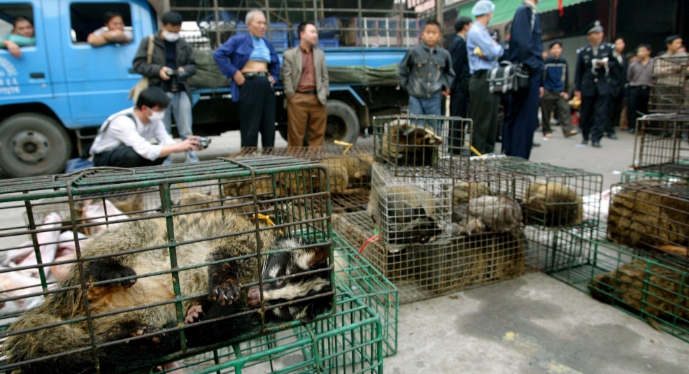 TQ sẽ cấm buôn bán động vật hoang dã