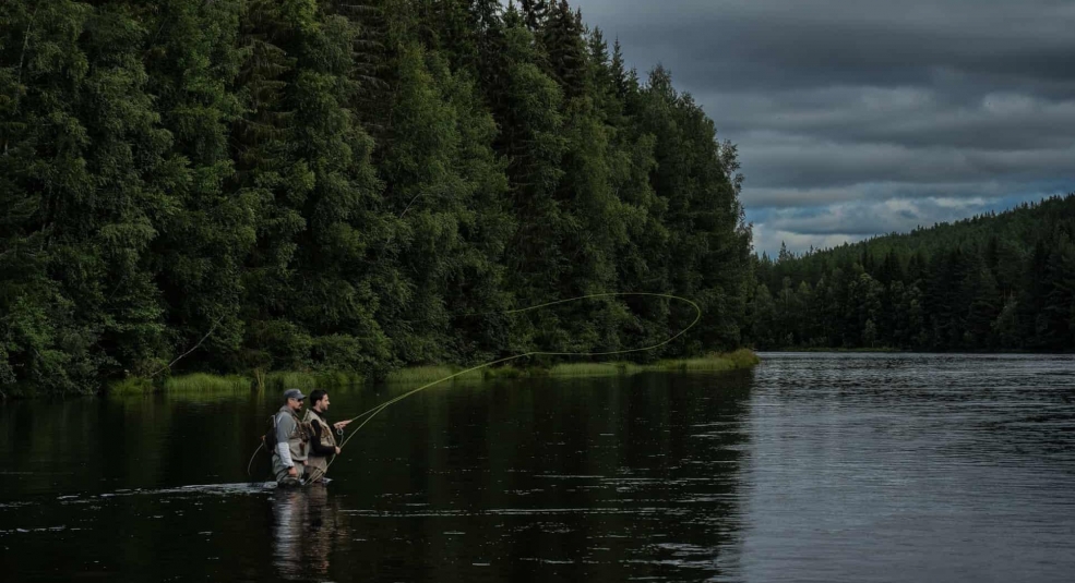 Người Thụy Điển, câu cá và thiền