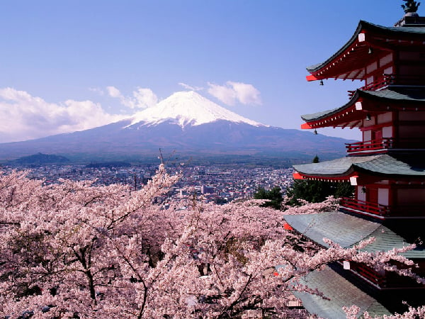 Cẩm nang cho chuyến du lịch tới Nhật Bản