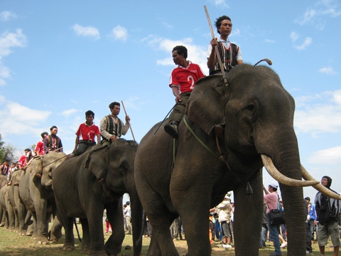 Lễ hội đua voi ở Tây Nguyên