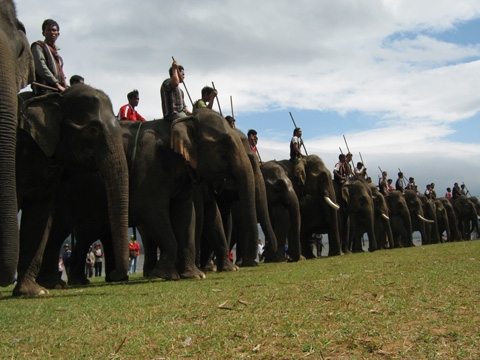 Khám phá Buôn Ma Thuột, dự Lễ hội đua voi