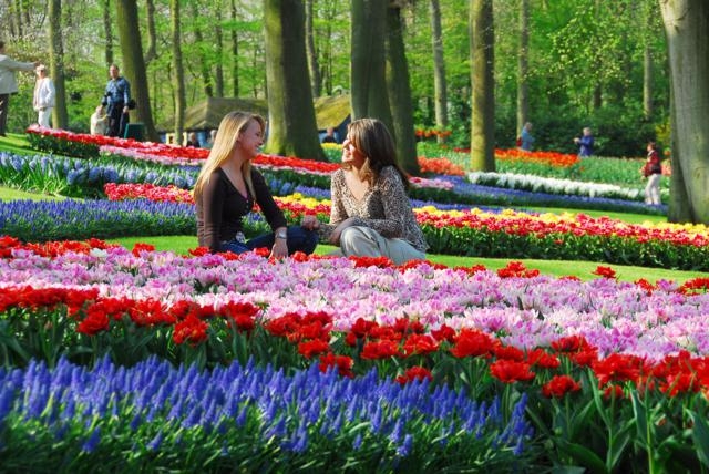 Chiêm ngưỡng hội hoa Kenkenhof Châu Âu