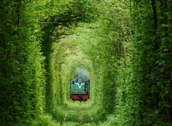 'Đường hầm' tình yêu đẹp như cổ tích ở Ukraine 