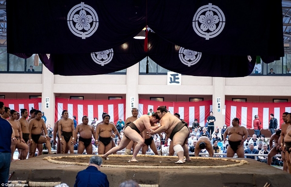 Độc đáo lễ hội mùa xuân của Sumo Nhật