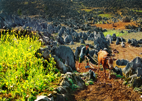 Phát hiện nhiều di tích khảo cổ ở Cao nguyên đá Đồng Văn 