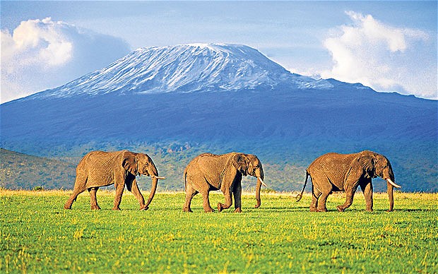 Kenya - vùng đất Hoang dã đầy cuốn hút 