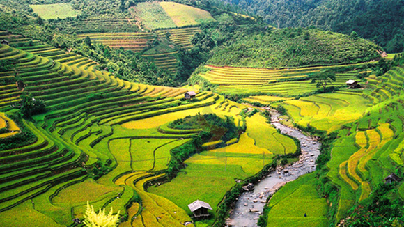 ‘Quyến rũ thu vàng - Mùa tri ân’ với ưu đãi đến 10 triệu đồng 