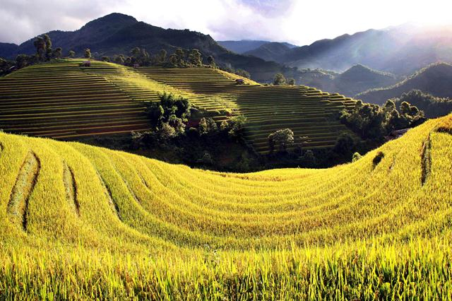 Khởi động chương trình quốc gia #WhyVietnam - Quảng bá du lịch Việt ra thế giới