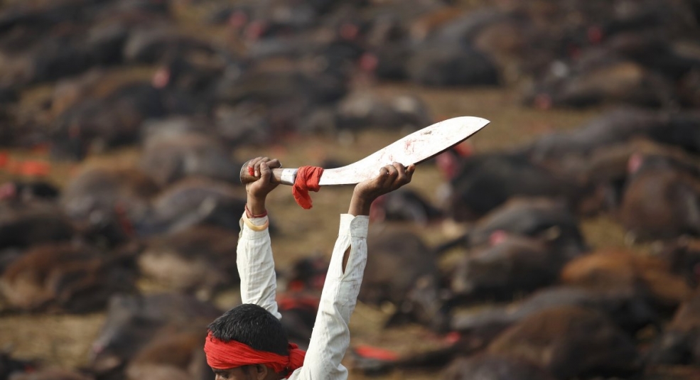Lễ hội tế thần đẫm máu tại Nepal