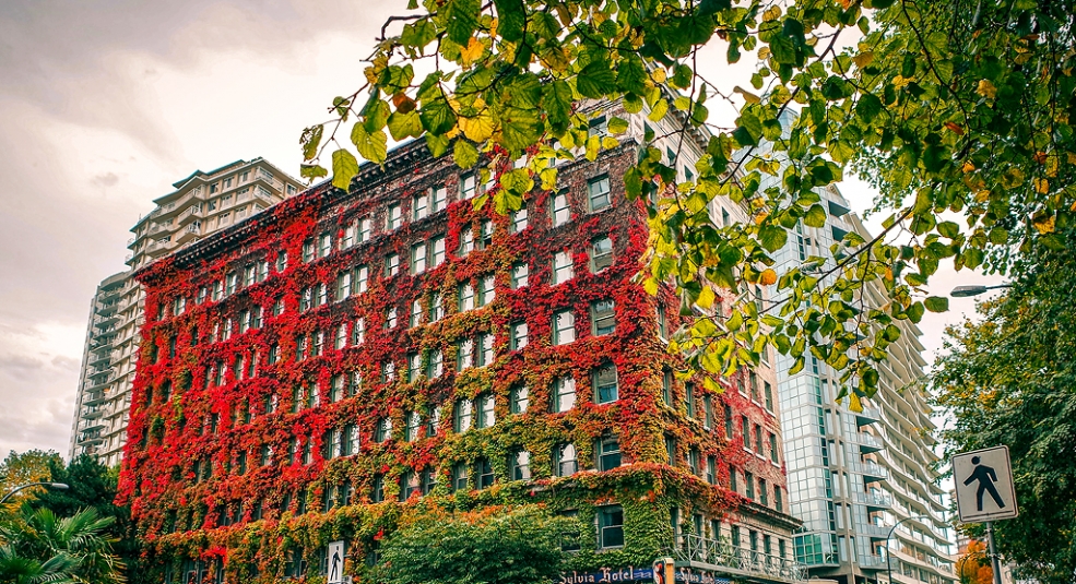 Khách sạn 'đổi màu' theo mùa ở Vancouver