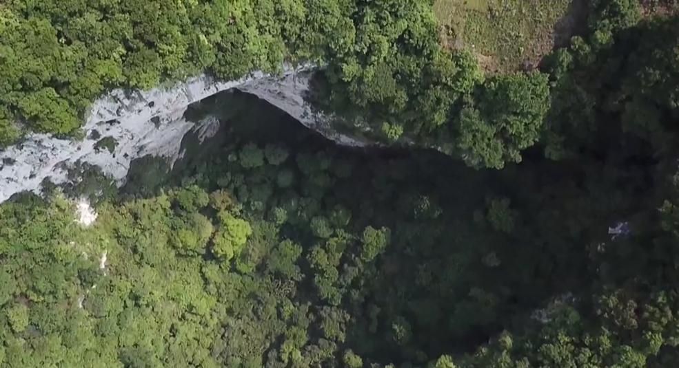 Trung Quốc tìm thấy một khu rừng ẩn bên trong hố sâu gần 200m