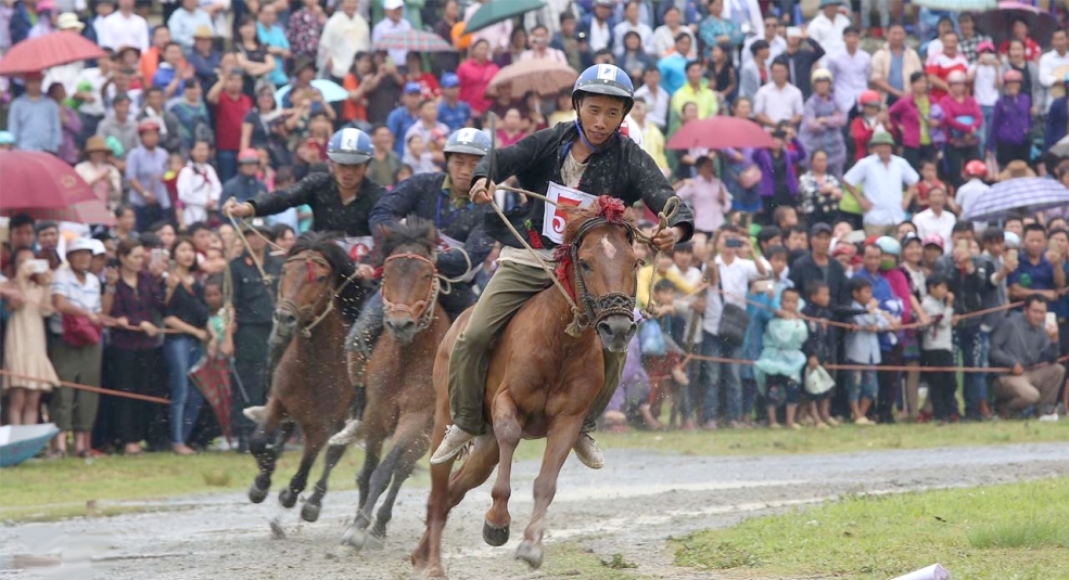 Độc đáo Lễ hội đua ngựa tại Festival cao nguyên trắng Bắc Hà