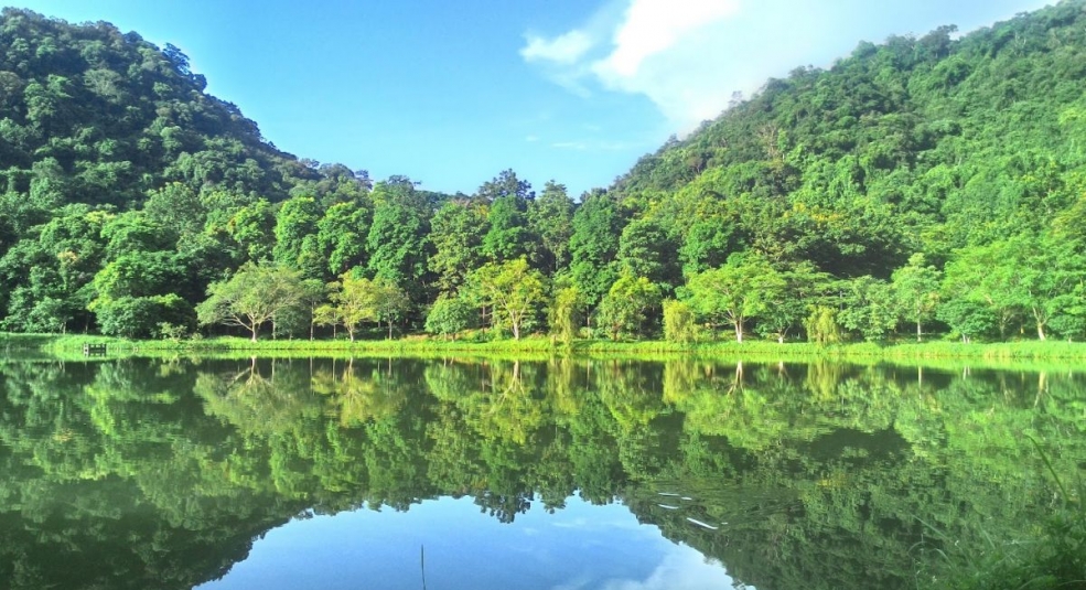 Cúc Phương 5 lần liên tiếp được bình chọn là 'Vườn quốc gia hàng đầu châu Á'
