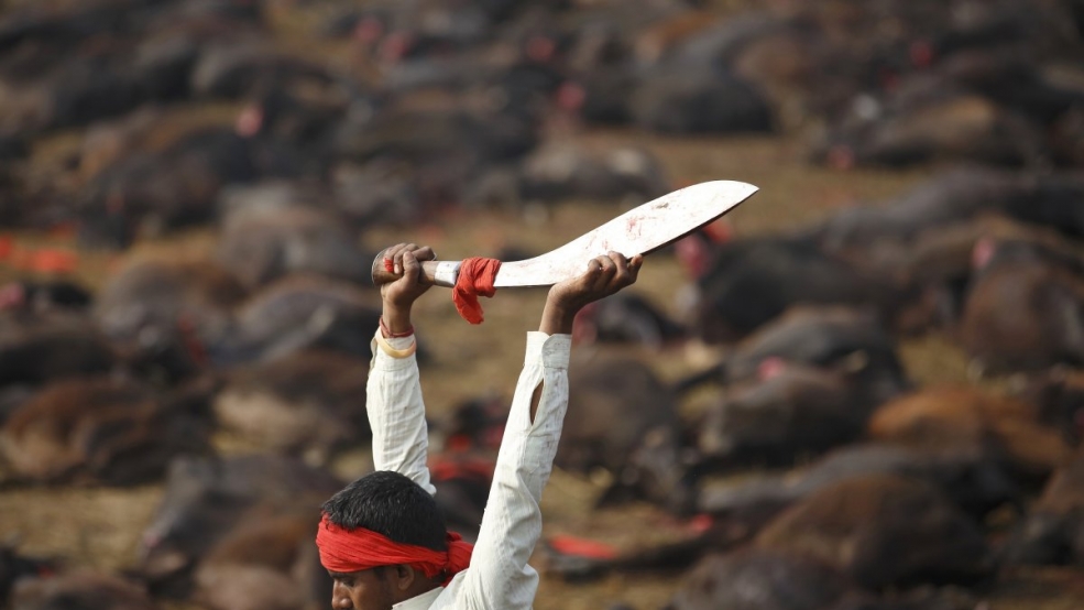 Lễ hội tế thần đẫm máu tại Nepal