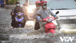 TP.HCM: Mưa lớn gây ngập nặng, cây đổ, giao thông hỗn loạn